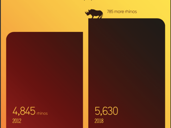 Information is Beautiful – Les bonnes nouvelles illustrées en&nbsp;graphiques