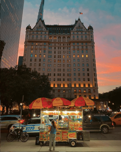 Hotel Plaza New York