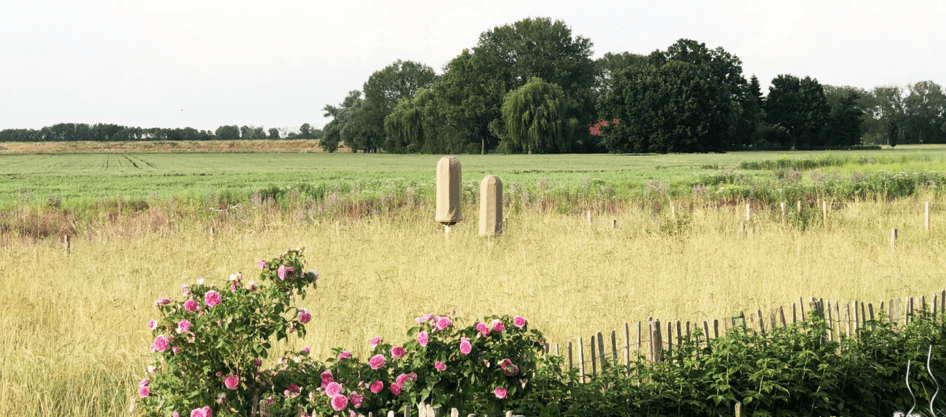 ruches Hiive au milieu des champs