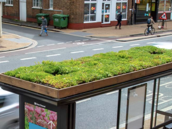 Des arrêts de bus plus vert&nbsp;!