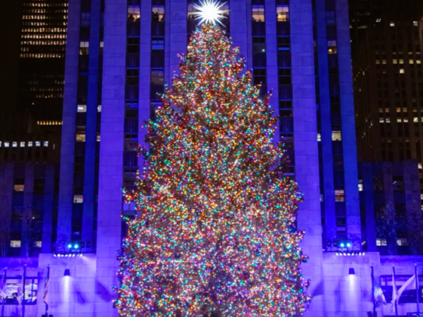 Découvrez l’arbre de Noel 2024 du Rockefeller Center à New&nbsp;York