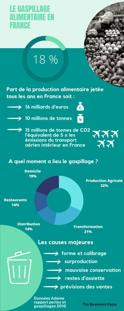 infographie gaspillage alimentaire en France