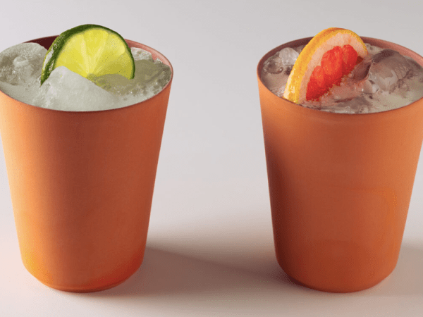 GaeaStar : Réduisez l&rsquo;Impact Environnemental des Contenants à Usage&nbsp;Unique