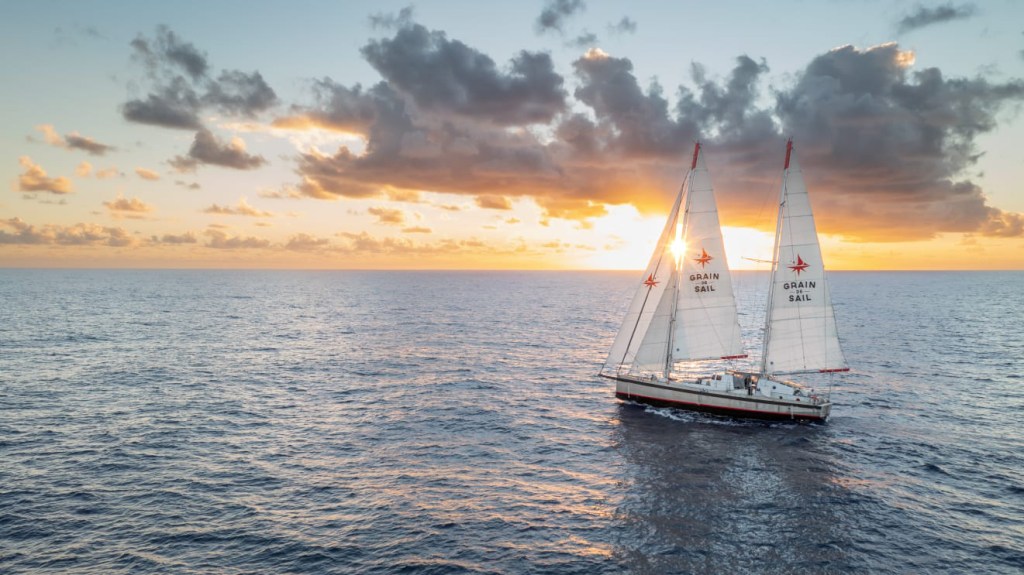 Grain de Sail : L’Avenir du Transport Écologique